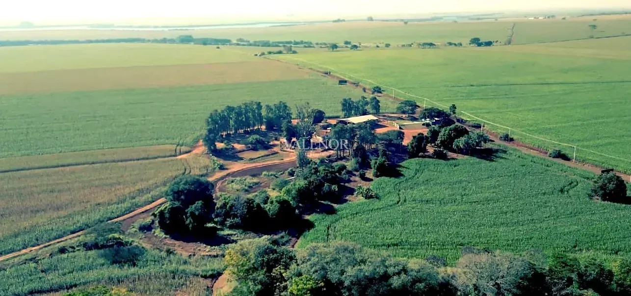 Fazenda, 692 hectares - Foto 14
