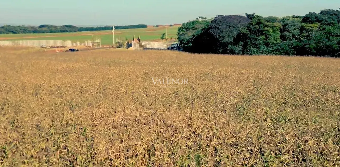 Fazenda, 692 hectares - Foto 13