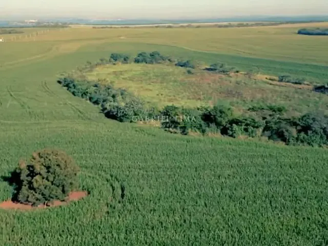 Fazenda com 6920000m² 6 quartos e 5 banheiros, à venda, no bairro Centro em Sertaneja