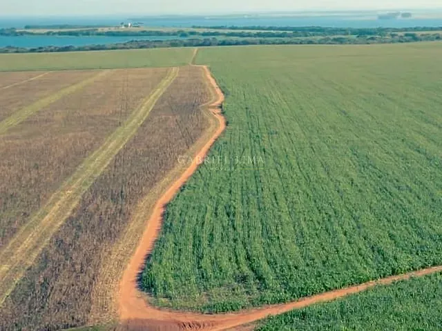 Fazenda com 6920000m² 6 quartos e 5 banheiros, à venda, no bairro Centro em Sertaneja