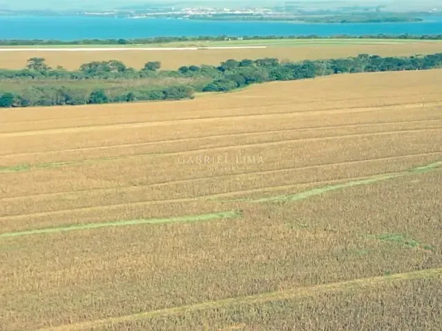 Fazenda com 6920000m² 6 quartos e 5 banheiros, à venda, no bairro Centro em Sertaneja