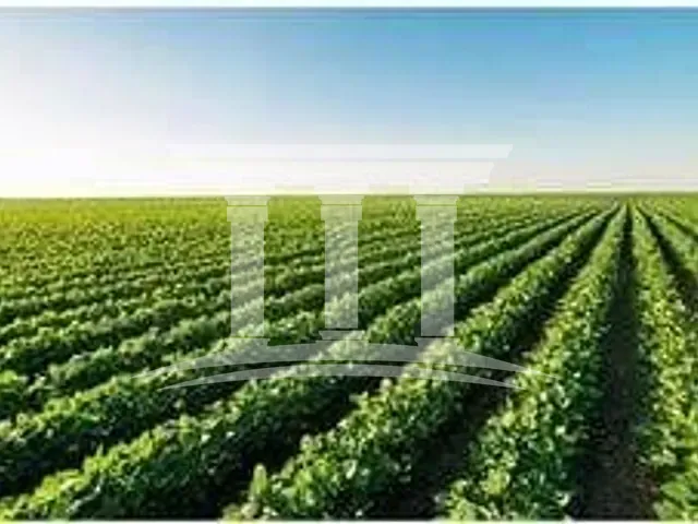 Fazenda com 130000000m², à venda, no bairro Zona Rural em Sinop