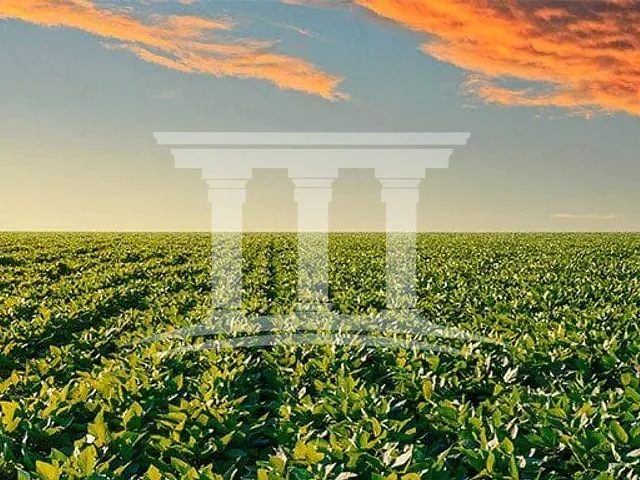 Fazenda com 130000000m², à venda, no bairro Zona Rural em Sinop