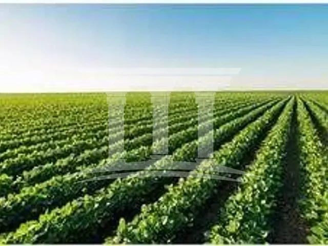 Fazenda com 130000000m², à venda, no bairro Zona Rural em Sinop