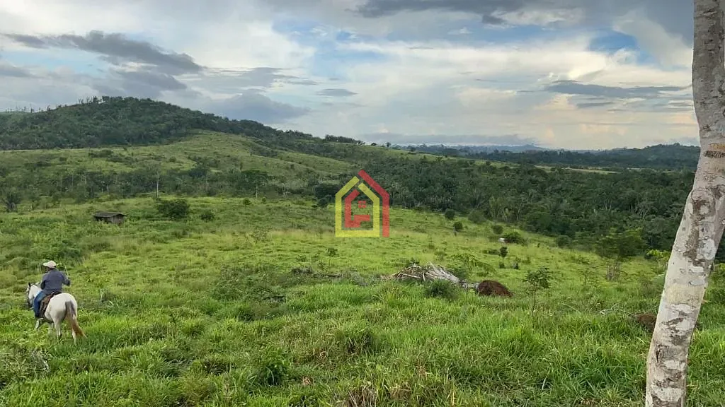 Rural à venda com 4114000m² de terreno no Zona Rural, Novo Repartimento (PA) — foto 8 de 26