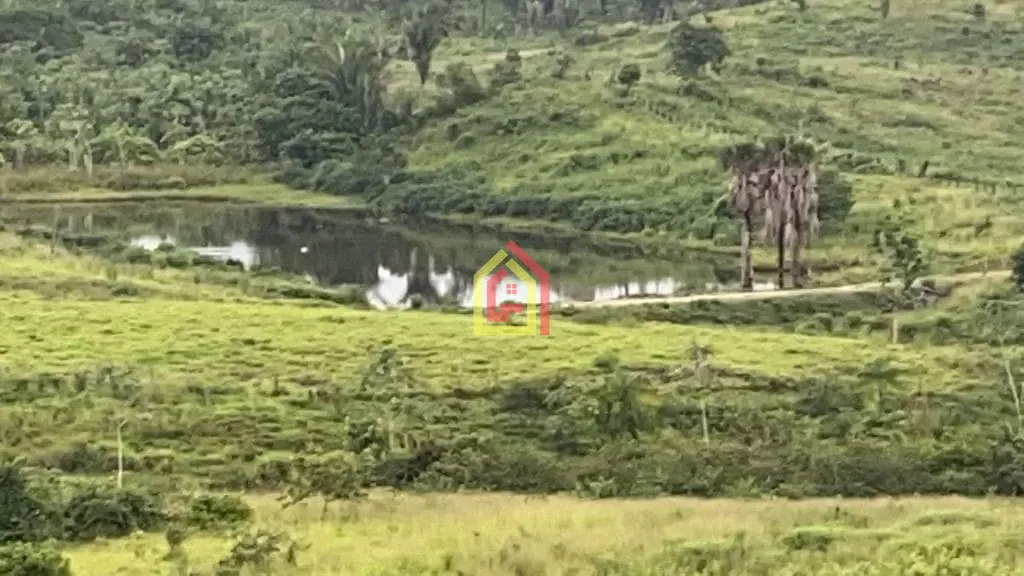 Rural à venda com 4114000m² de terreno no Zona Rural, Novo Repartimento (PA) — foto 9 de 26