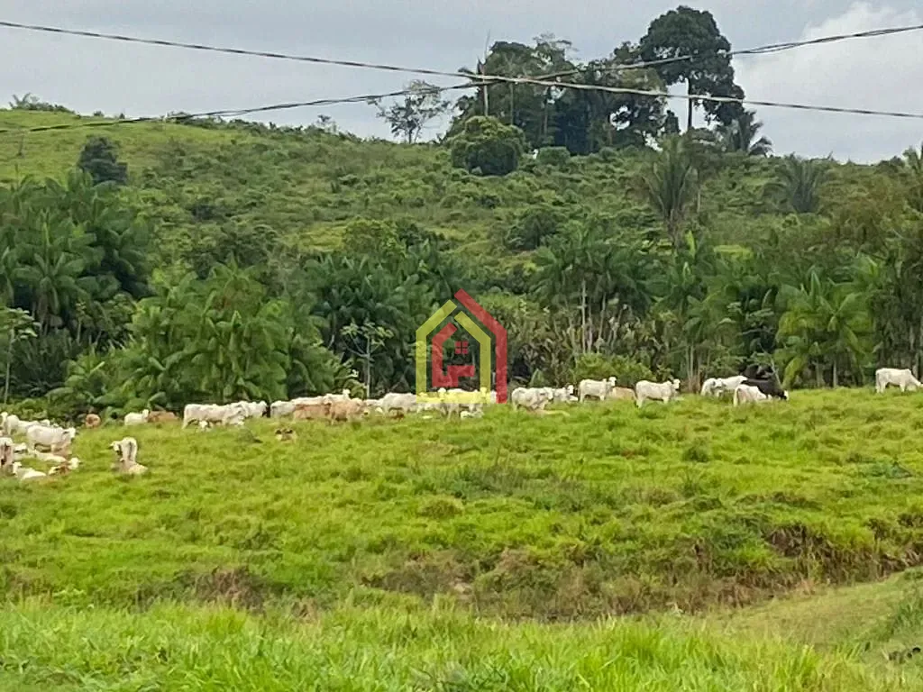 Rural à venda com 4114000m² de terreno no Zona Rural, Novo Repartimento (PA) — foto 18 de 26