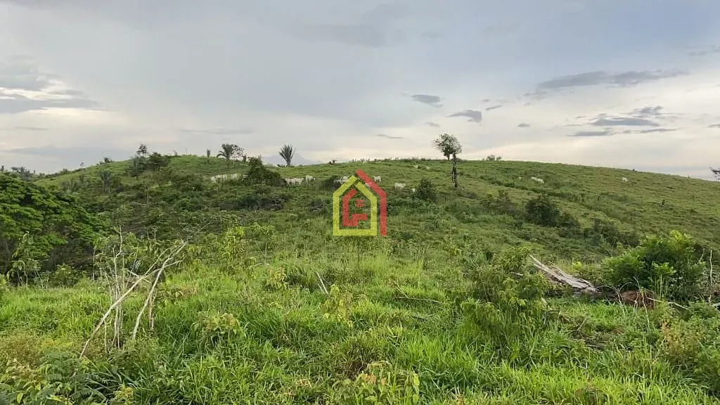 Rural à venda com 4114000m² de terreno no Zona Rural, Novo Repartimento (PA) — foto 10 de 26