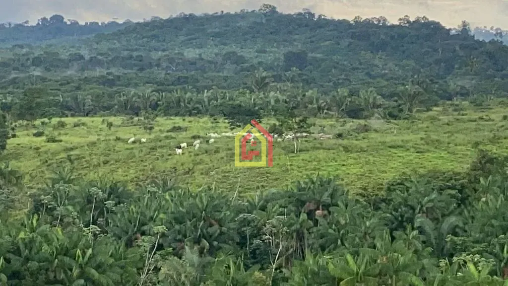 Rural à venda com 4114000m² de terreno no Zona Rural, Novo Repartimento (PA) — foto 11 de 26