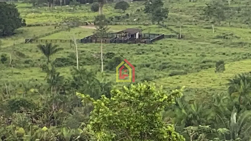 Rural à venda com 4114000m² de terreno no Zona Rural, Novo Repartimento (PA) — foto 7 de 26