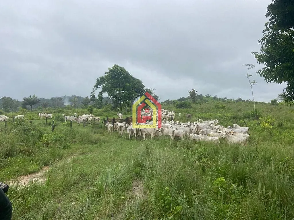 Rural à venda com 4114000m² de terreno no Zona Rural, Novo Repartimento (PA) — foto 24 de 26