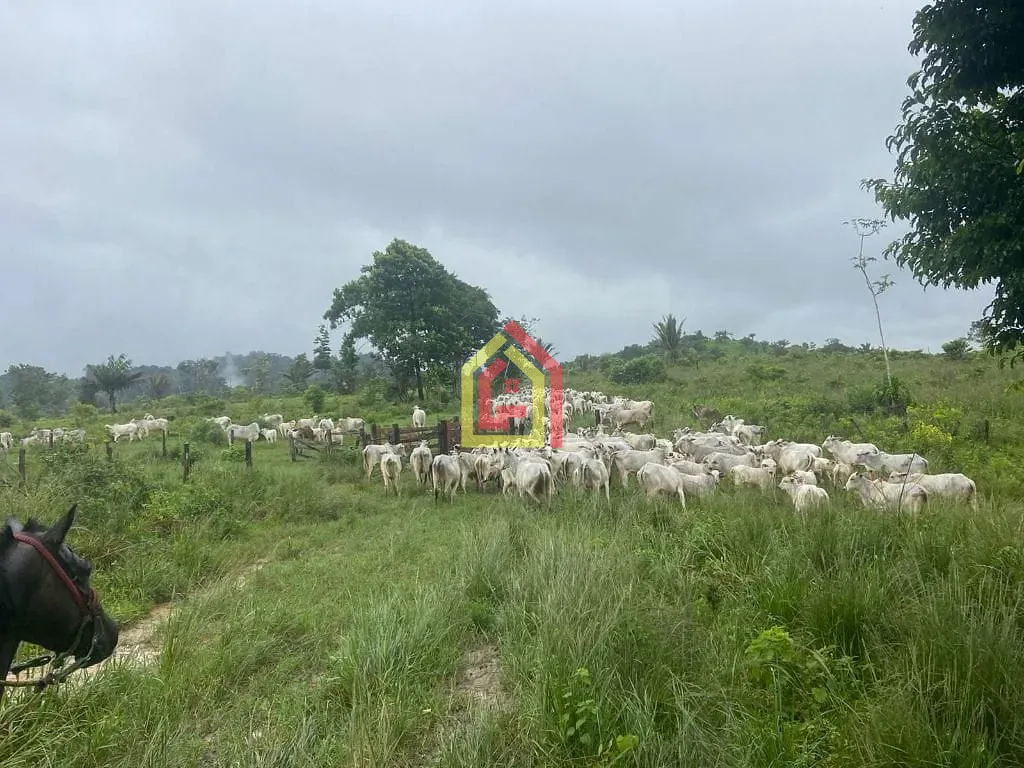 Rural à venda com 4114000m² de terreno no Zona Rural, Novo Repartimento (PA) — foto 23 de 26