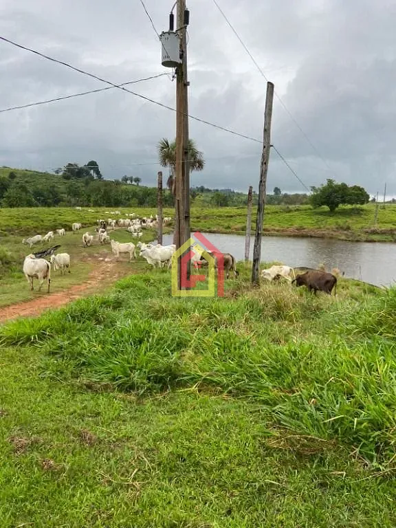 Rural à venda com 4114000m² de terreno no Zona Rural, Novo Repartimento (PA) — foto 19 de 26