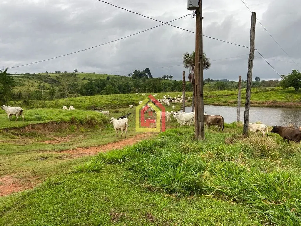 Rural à venda com 4114000m² de terreno no Zona Rural, Novo Repartimento (PA) — foto 13 de 26