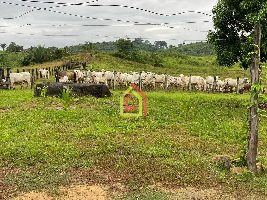 Rural à venda com 4114000m² de terreno no Zona Rural, Novo Repartimento (PA) — foto 17 de 26