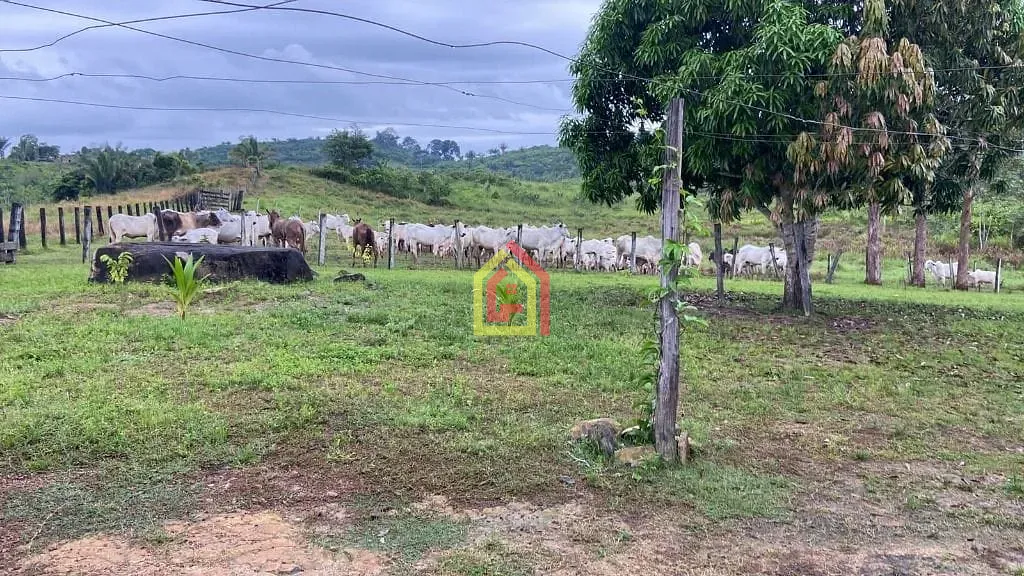 Rural à venda com 4114000m² de terreno no Zona Rural, Novo Repartimento (PA) — foto 15 de 26