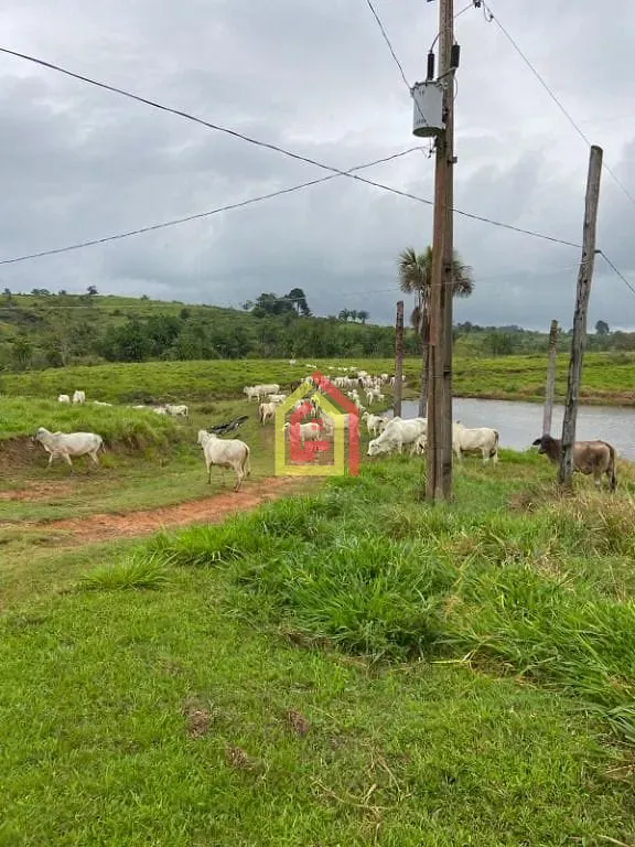 Rural à venda com 4114000m² de terreno no Zona Rural, Novo Repartimento (PA) — foto 16 de 26