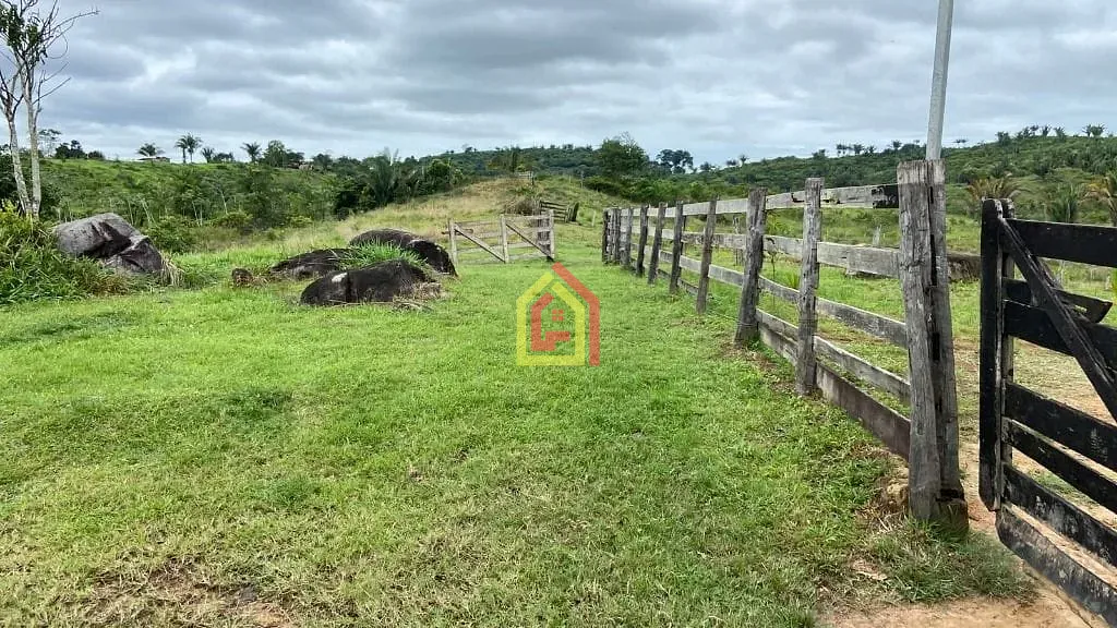 Rural à venda com 4114000m² de terreno no Zona Rural, Novo Repartimento (PA) — foto 4 de 26