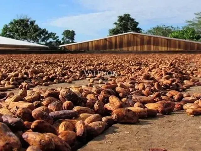 Fazenda com 25000000m² 25 quartos e 15 banheiros, à venda, no bairro Centro em Uruará
