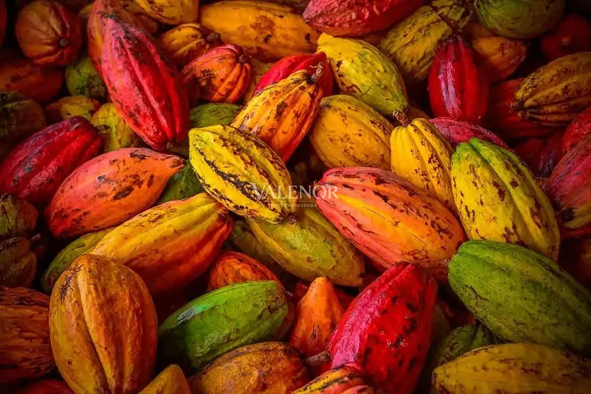 Fazenda, 2500 hectares - Foto 1