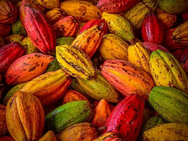 Fazenda com 25000000m² 25 quartos e 15 banheiros, à venda, no bairro Centro em Uruará