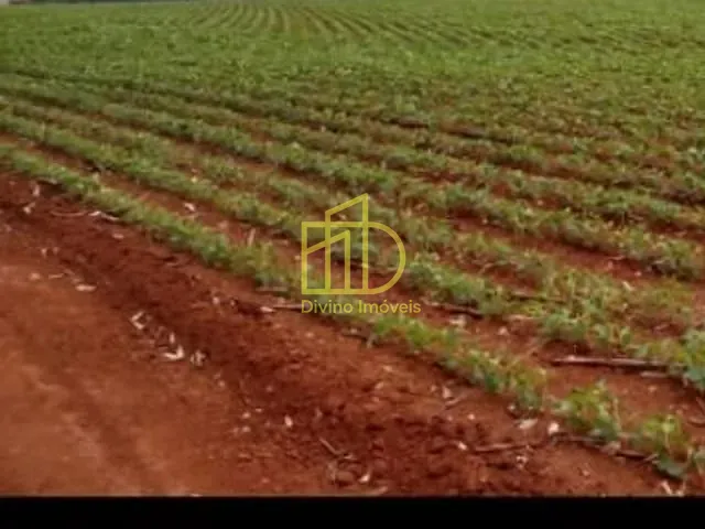 Fazenda com 4840000m², à venda, no bairro Horto do Ipê em Itapeva