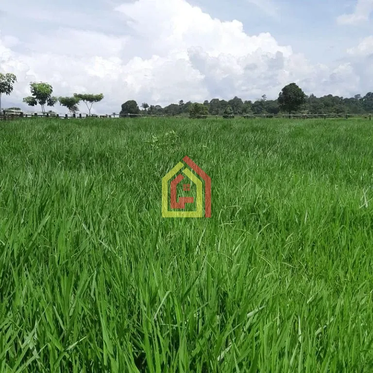 Rural à venda com 18295200m² de terreno no Zona Rural, Itupiranga (PA) — foto 18 de 28