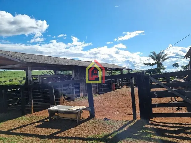 Fazenda com 18295200m², à venda, no bairro Zona Rural em Itupiranga