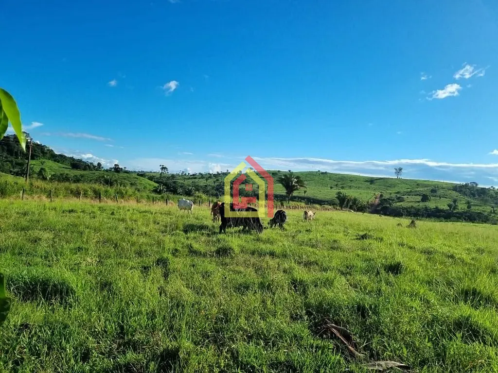 Rural à venda com 18295200m² de terreno no Zona Rural, Itupiranga (PA) — foto 14 de 28