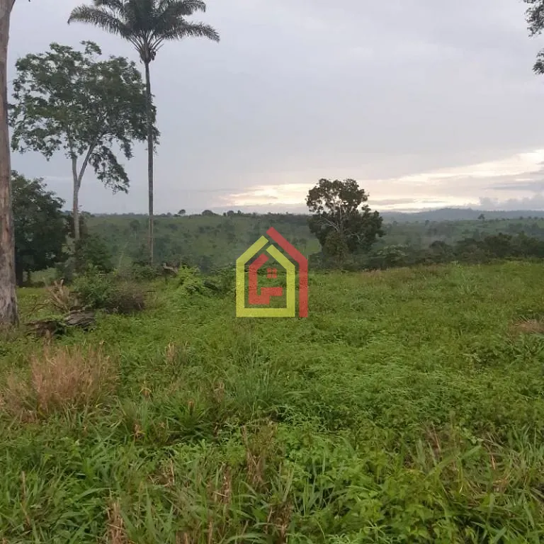 Rural à venda com 18295200m² de terreno no Zona Rural, Itupiranga (PA) — foto 26 de 28
