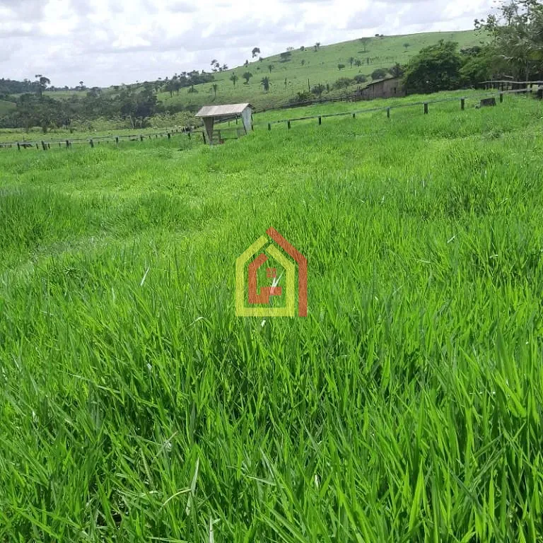 Rural à venda com 18295200m² de terreno no Zona Rural, Itupiranga (PA) — foto 17 de 28
