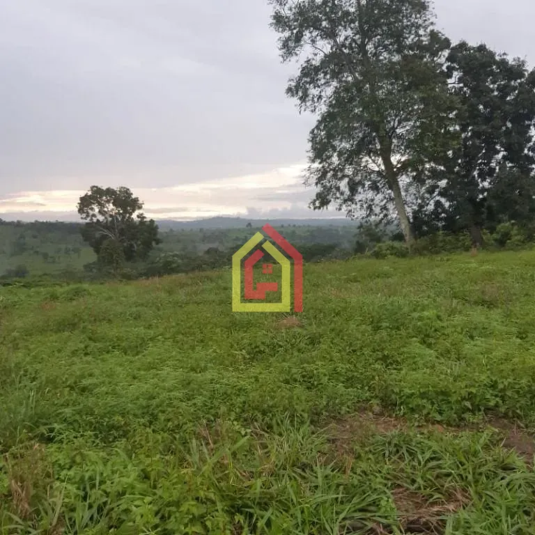 Rural à venda com 18295200m² de terreno no Zona Rural, Itupiranga (PA) — foto 6 de 28