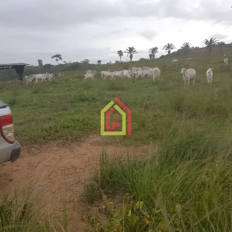 Rural à venda com 18295200m² de terreno no Zona Rural, Itupiranga (PA) — foto 22 de 28