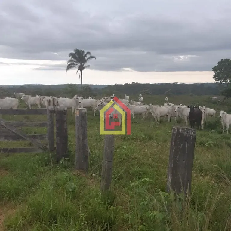 Rural à venda com 18295200m² de terreno no Zona Rural, Itupiranga (PA) — foto 21 de 28