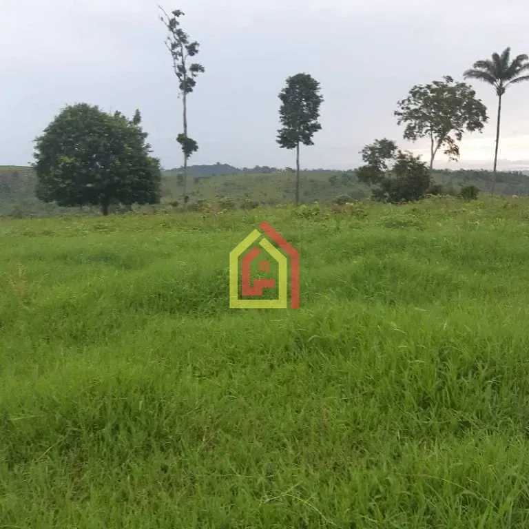 Rural à venda com 18295200m² de terreno no Zona Rural, Itupiranga (PA) — foto 28 de 28