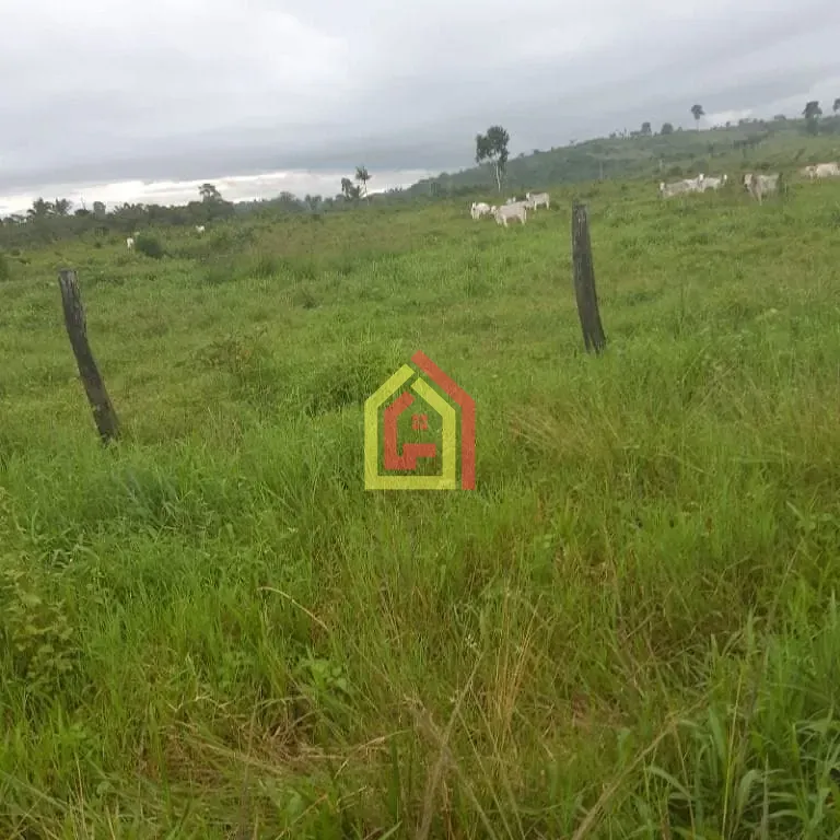 Rural à venda com 18295200m² de terreno no Zona Rural, Itupiranga (PA) — foto 24 de 28