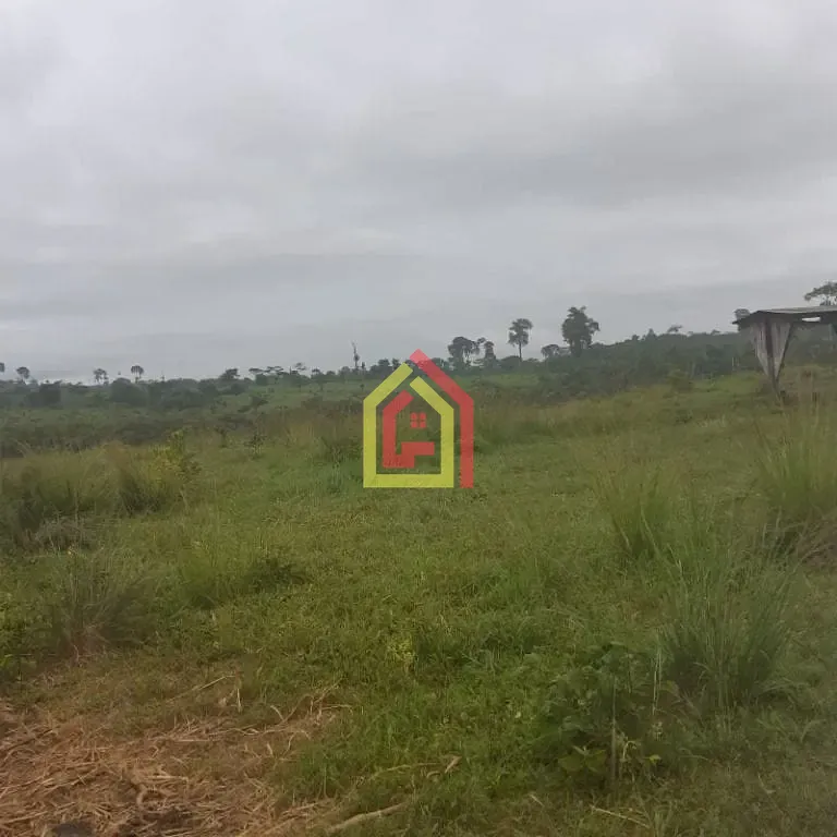 Rural à venda com 18295200m² de terreno no Zona Rural, Itupiranga (PA) — foto 25 de 28