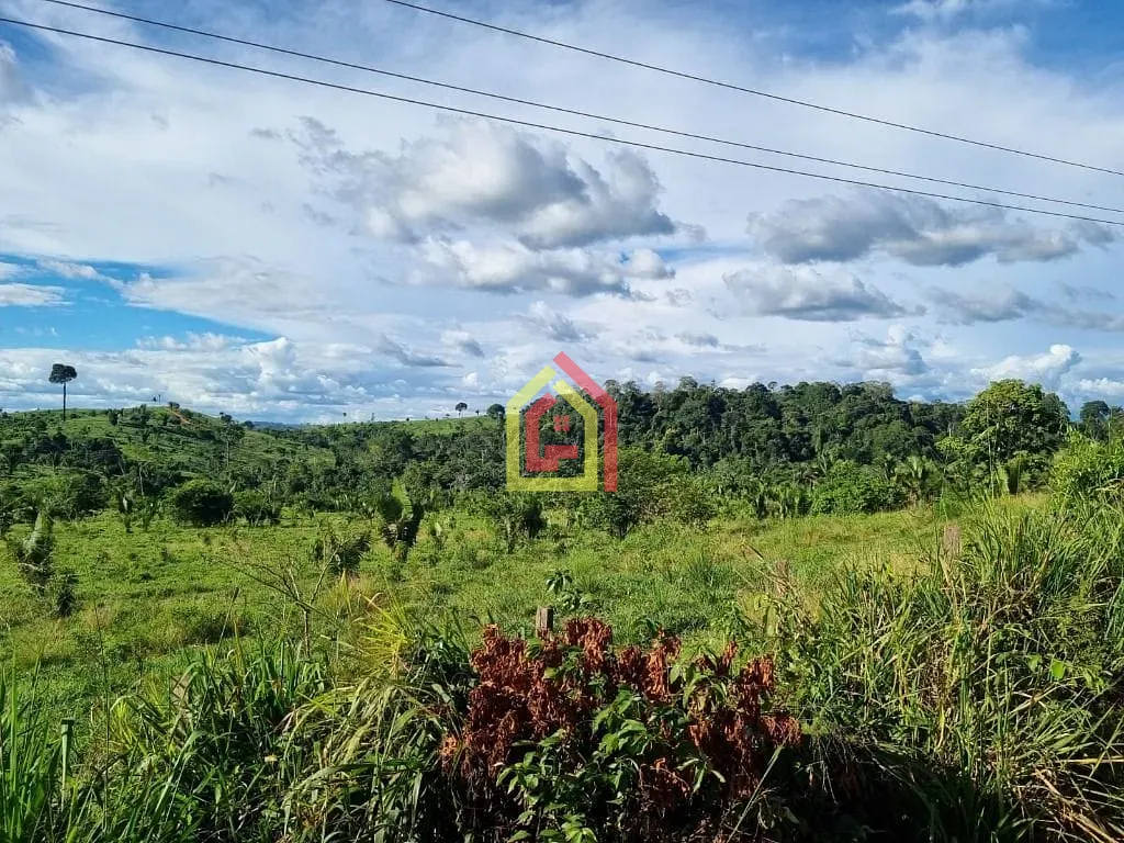 Rural à venda com 18295200m² de terreno no Zona Rural, Itupiranga (PA) — foto 10 de 28