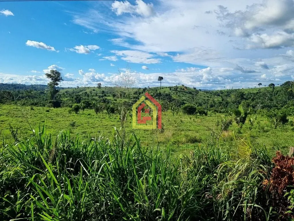 Rural à venda com 18295200m² de terreno no Zona Rural, Itupiranga (PA) — foto 11 de 28