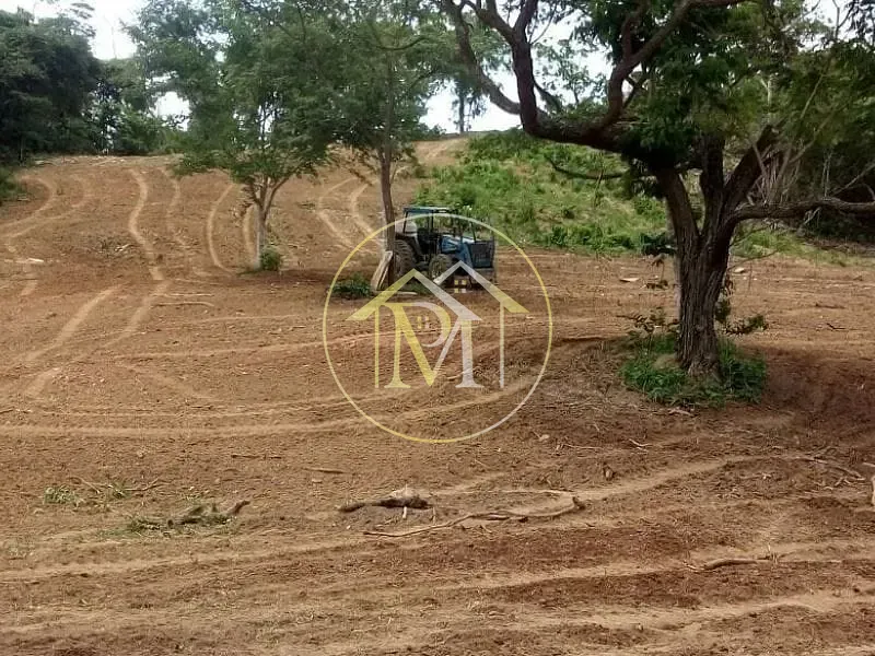 Fazenda, 1452 hectares - Foto 12
