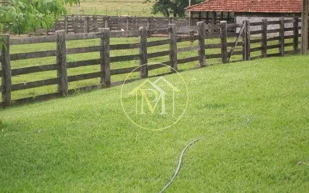 Fazenda, 1452 hectares - Foto 10