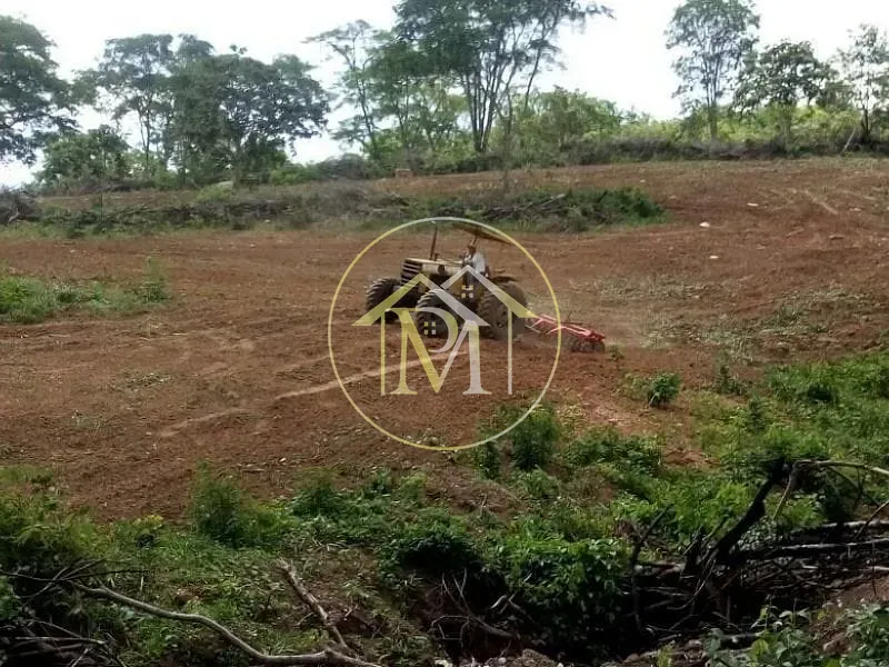Fazenda, 1452 hectares - Foto 13