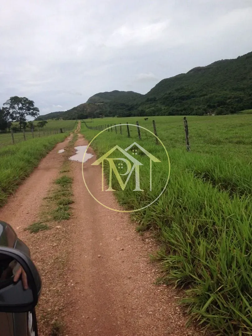 Fazenda, 1452 hectares - Foto 22