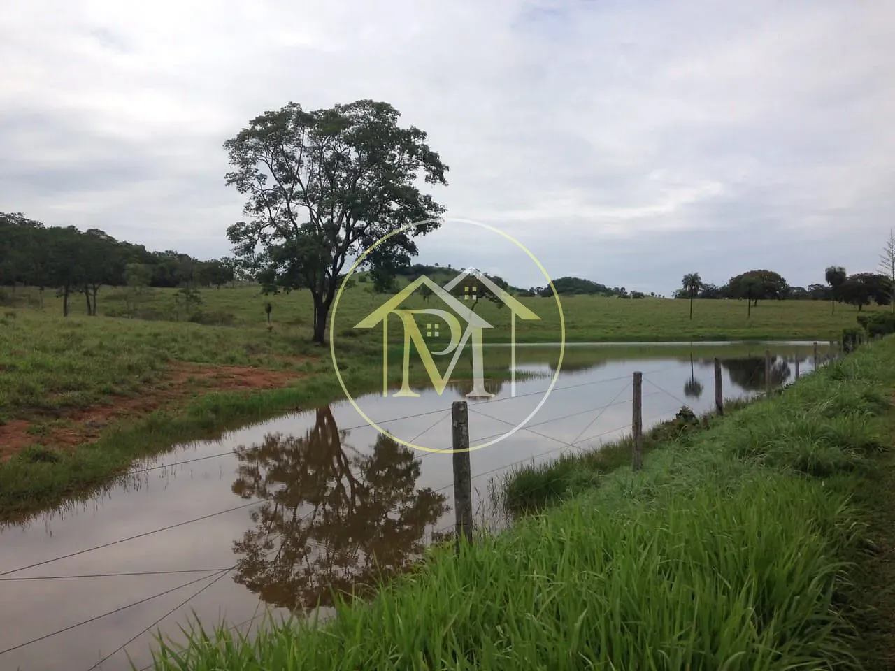 Fazenda, 1452 hectares - Foto 23