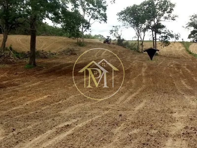 Fazenda, 1452 hectares - Foto 11