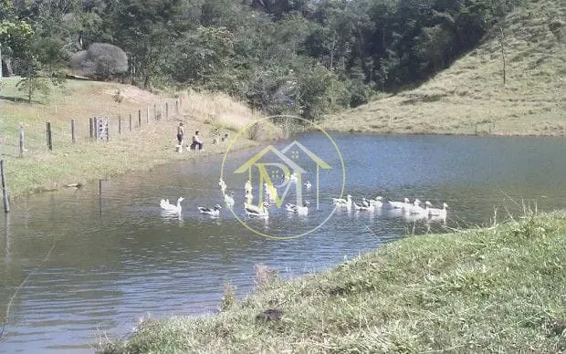 Fazenda, 1452 hectares - Foto 15