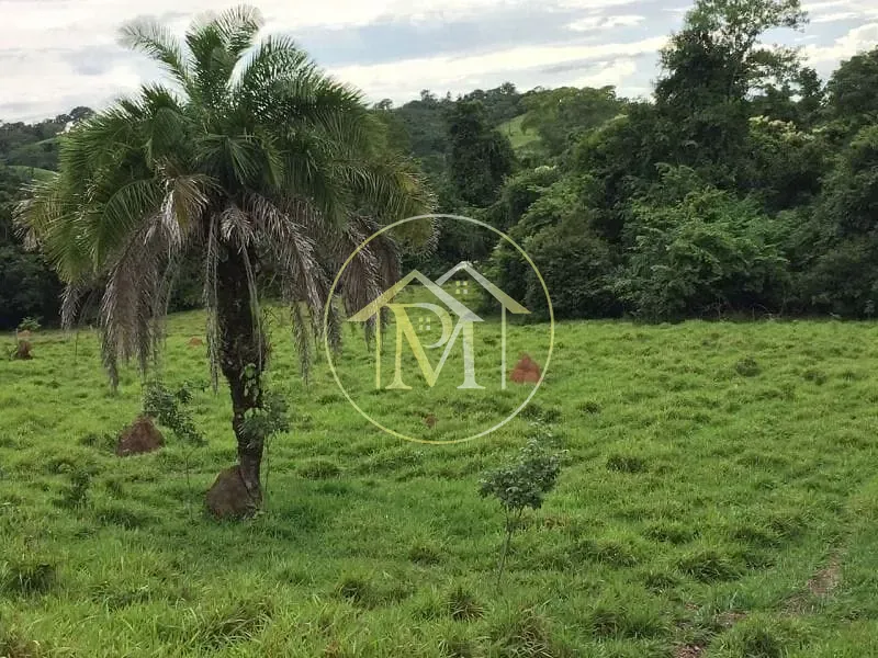 Fazenda, 1452 hectares - Foto 9