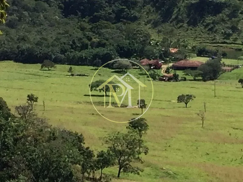 Fazenda, 1452 hectares - Foto 16