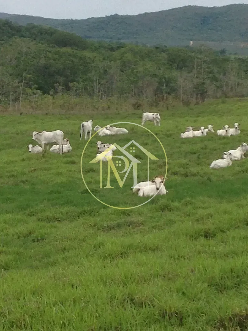 Fazenda, 1452 hectares - Foto 18