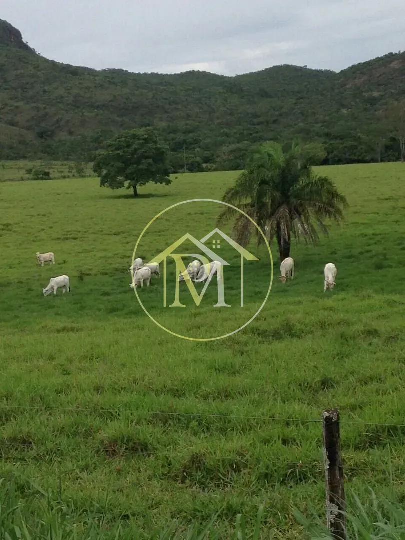 Fazenda, 1452 hectares - Foto 8